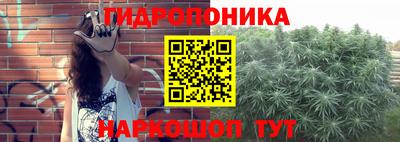 эйфоретик Нальчик