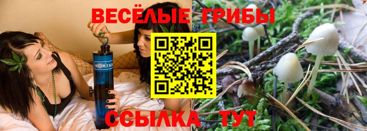 Оренбург  Псилоцибиновые грибы ЛСД  Вход с VPN  Галлюциногенные грибы мухоморы 